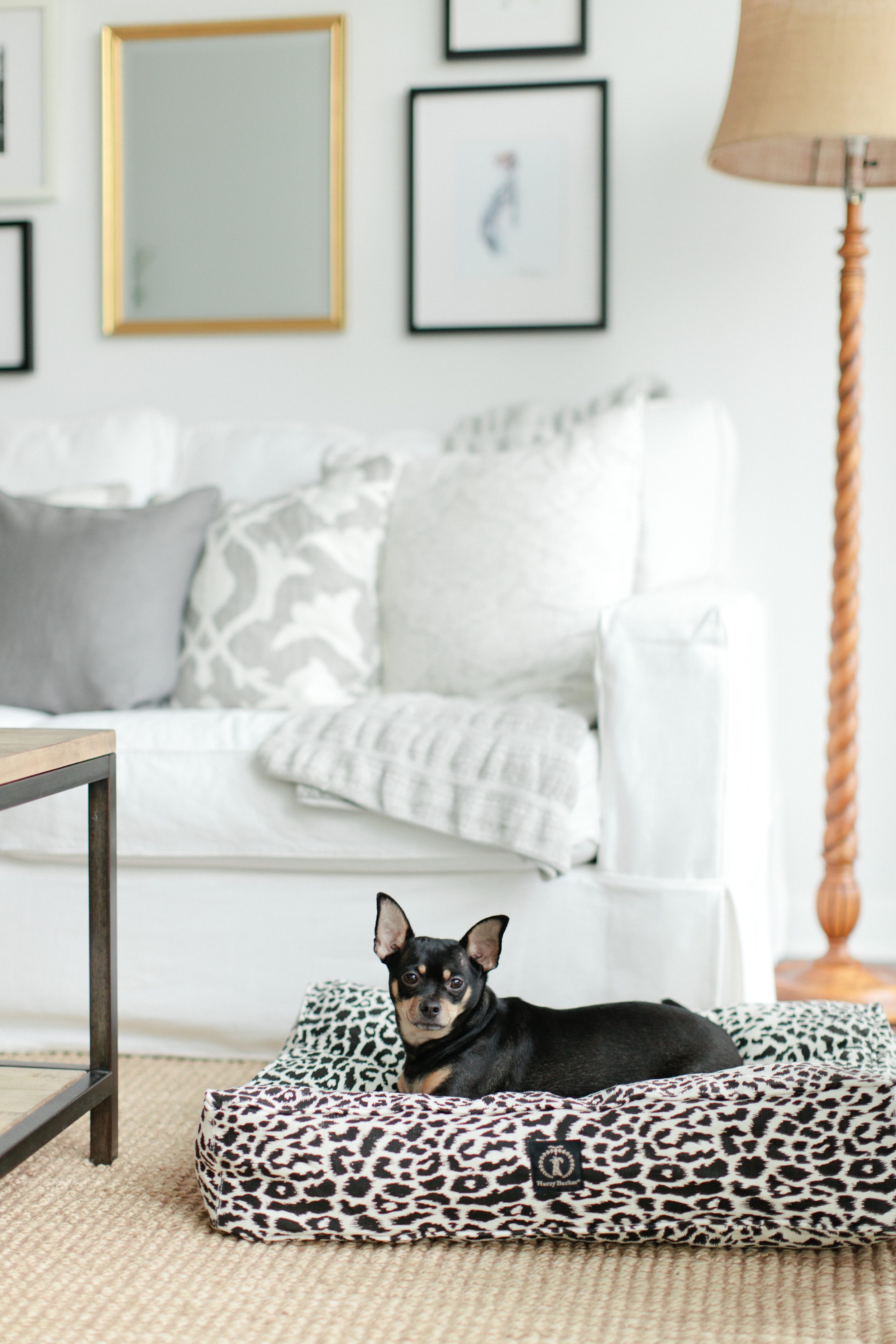 Rue-Stoffer Photography dog bed