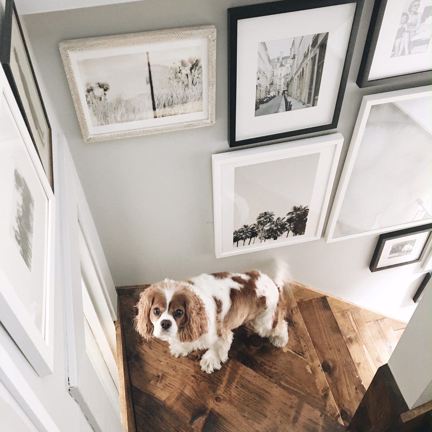 gallery wall stairs