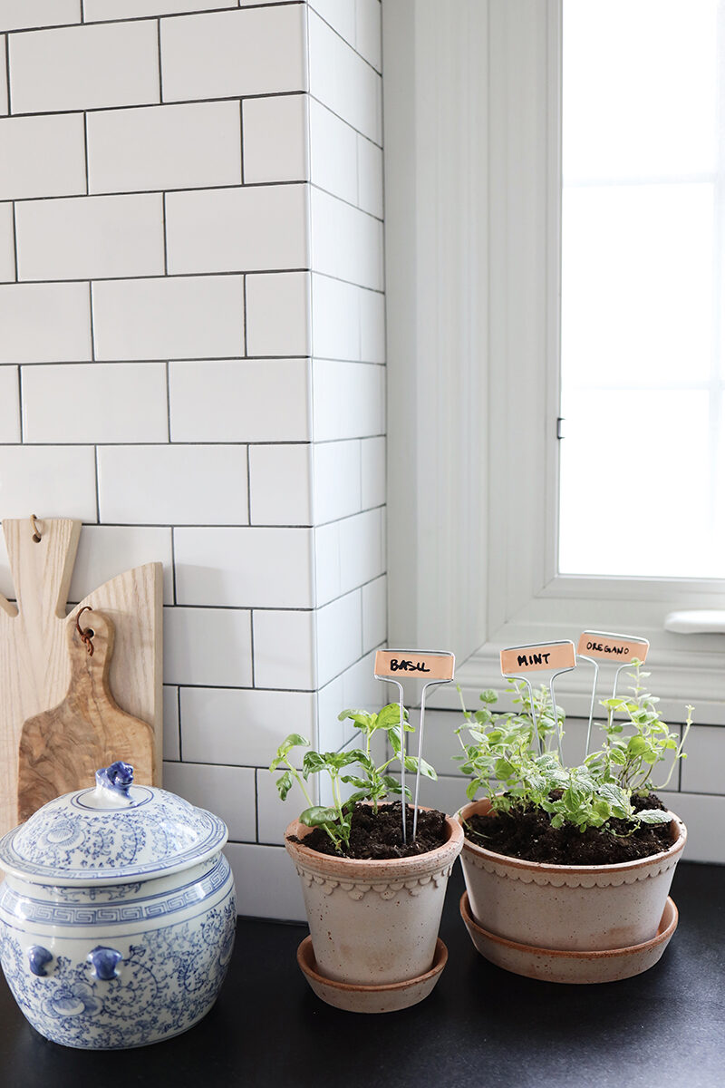 How to Plant an Herb Garden