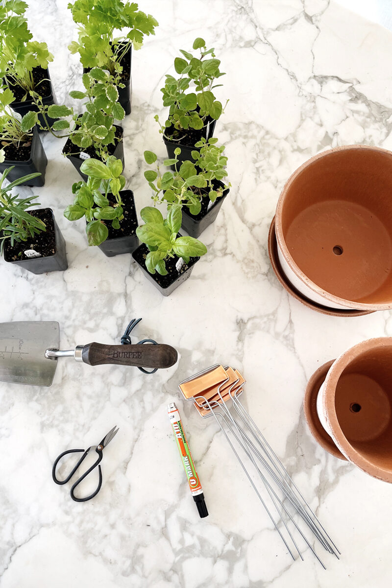 How to Plant an Herb Garden