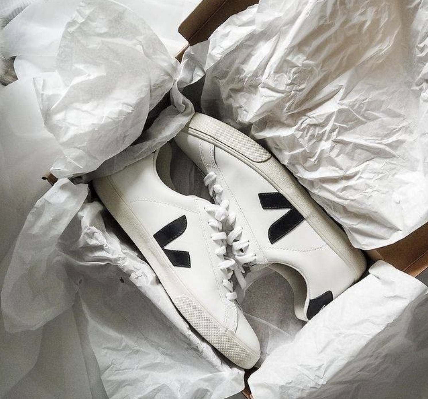 Lets take a look at the beautiful sneakers