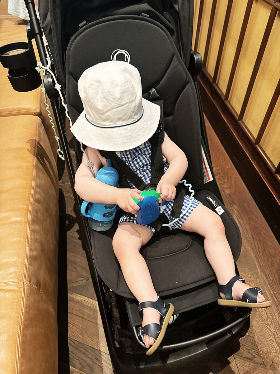 the best travel stroller