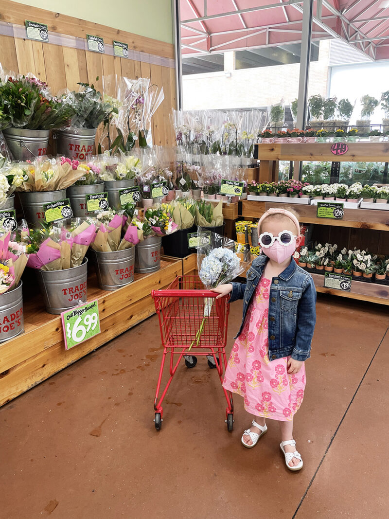 Trader Joe's Snacks