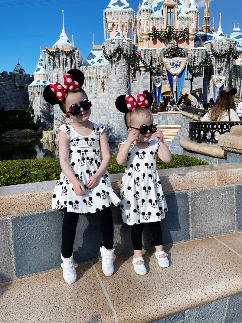 Disneyland vs. Disney World