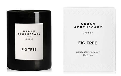 https://www.danielle-moss.com/wp-content/uploads/2022/12/urban-apothecary-fig-tree-candle.png
